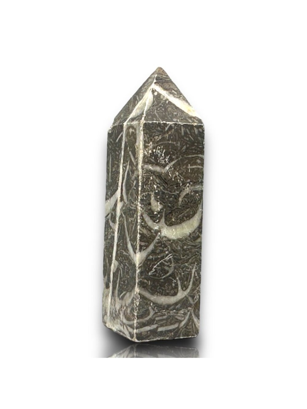 Shell Jasper Tower Black White Serenity Stability Protection 68g NWOT Cleansed